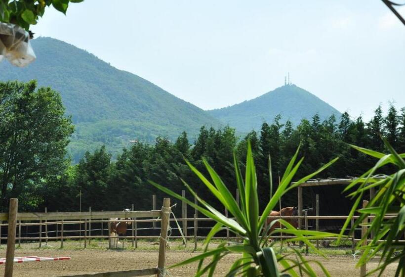 مبيت وإفطار Aiceltis