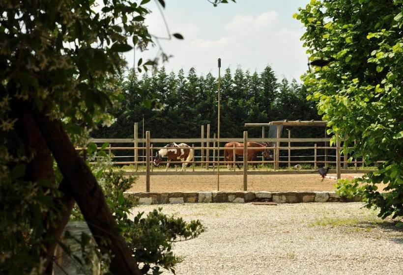 مبيت وإفطار Aiceltis