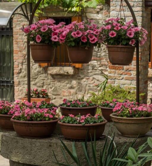 مبيت وإفطار Aiceltis