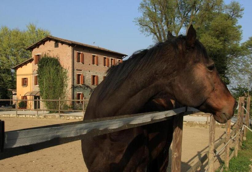 مبيت وإفطار Aiceltis