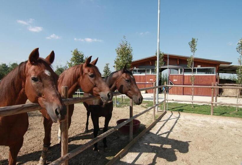 مبيت وإفطار Aiceltis