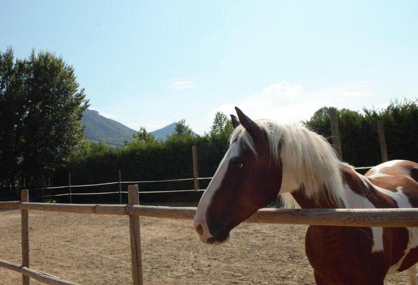 مبيت وإفطار Aiceltis