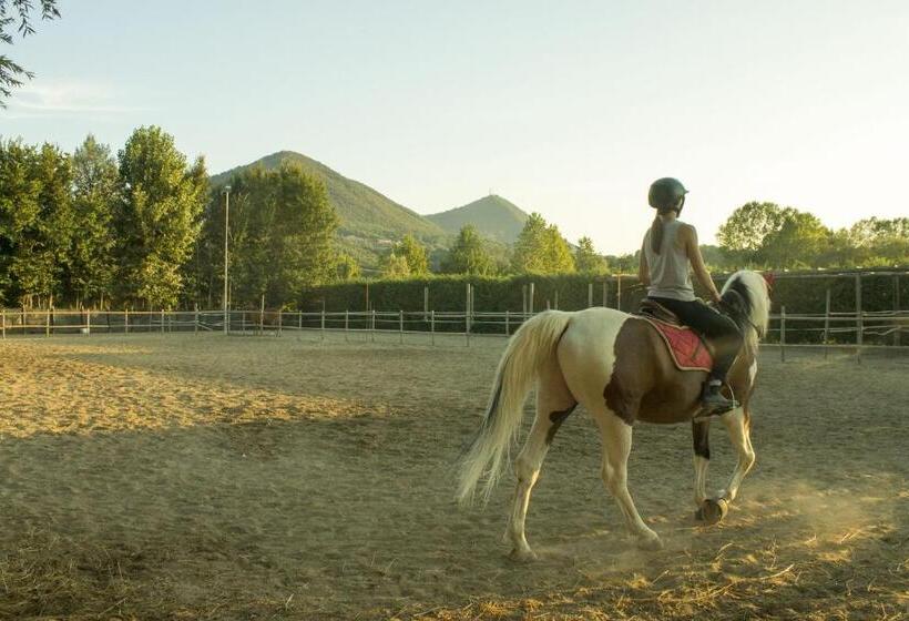 مبيت وإفطار Aiceltis