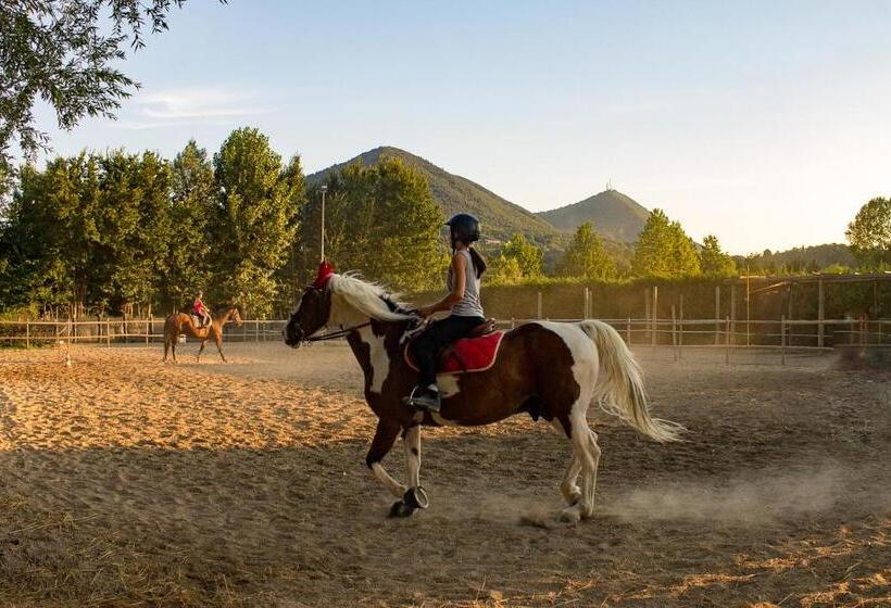 مبيت وإفطار Aiceltis