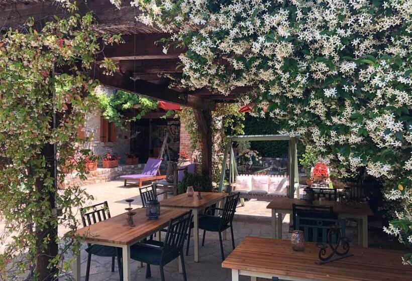 مبيت وإفطار Aiceltis