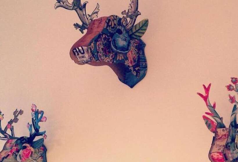 تختخواب و صبحانه Al Cavour 34