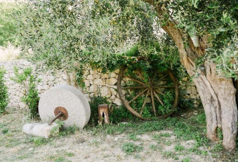 Bed and Breakfast Barone Gambadoro