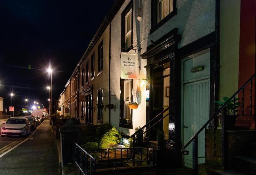 住宿加早餐  Blue Swallow