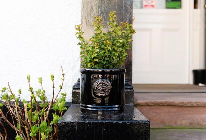 住宿加早餐  Blue Swallow