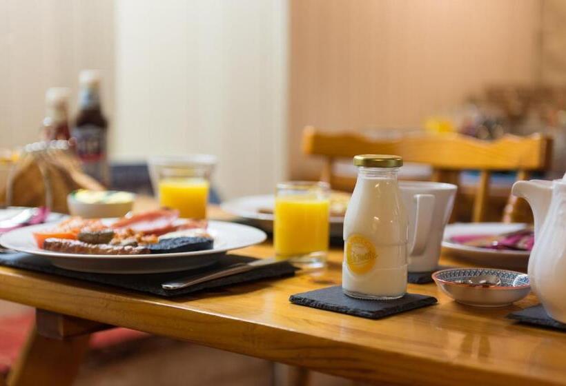 住宿加早餐  Blue Swallow