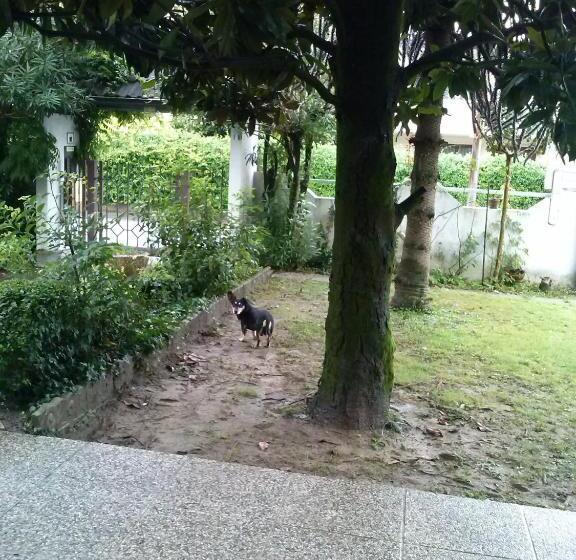 住宿加早餐  Casa Irene