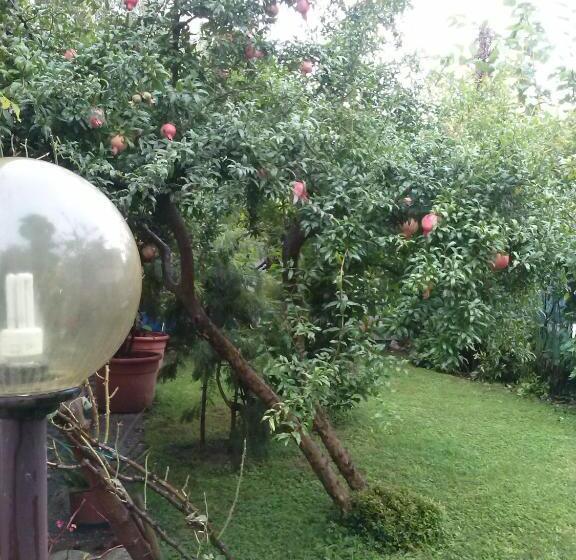 住宿加早餐  Casa Irene