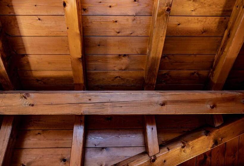 مبيت وإفطار Casa Tomà