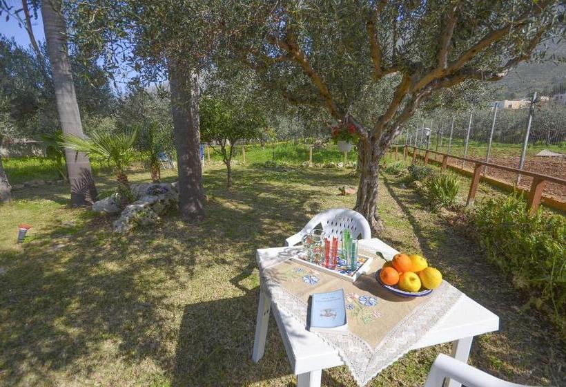 مبيت وإفطار Cascina Degli Ulivi