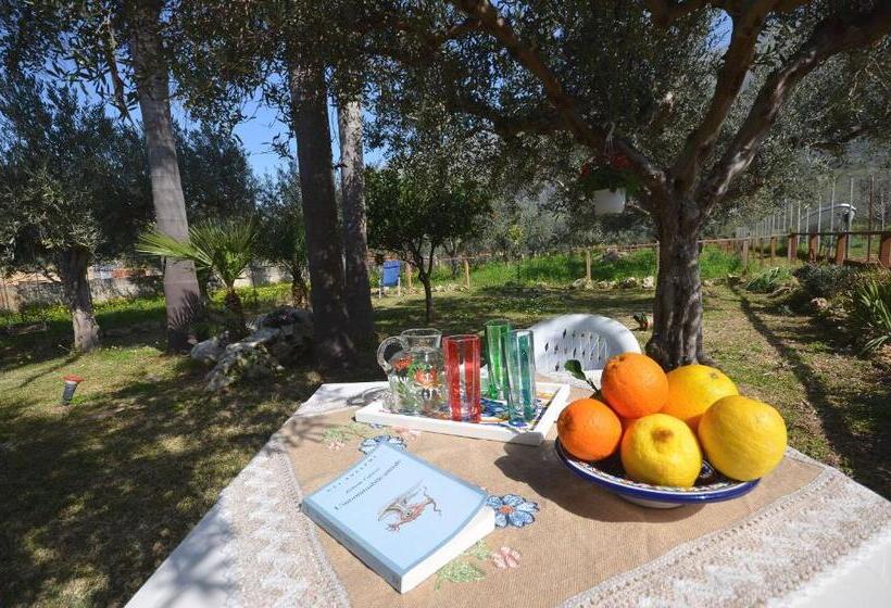 مبيت وإفطار Cascina Degli Ulivi