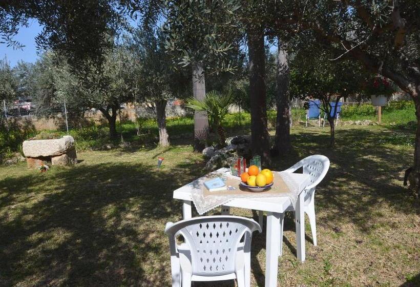 مبيت وإفطار Cascina Degli Ulivi