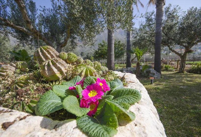 مبيت وإفطار Cascina Degli Ulivi