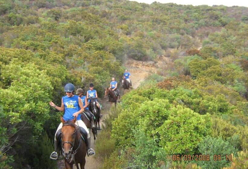 Bed and Breakfast Centro Di Turismo Equestre Shangrila