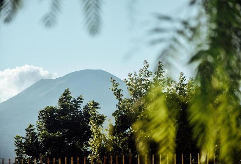 مبيت وإفطار Dimora Santo Stefano