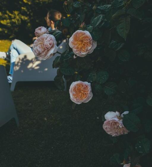 مبيت وإفطار Dimora Santo Stefano