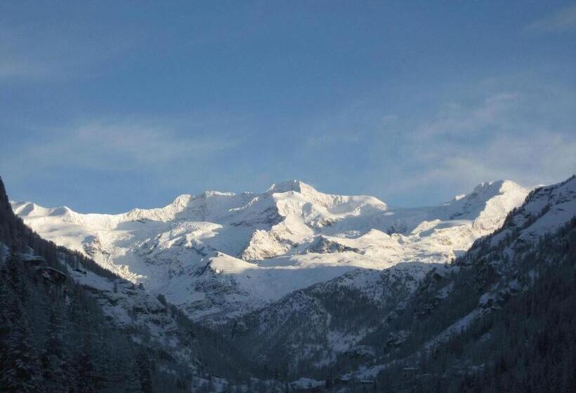 צימר Dresalwoald