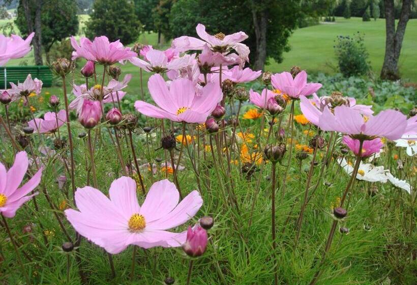 Bed and Breakfast Golf Du Rochat