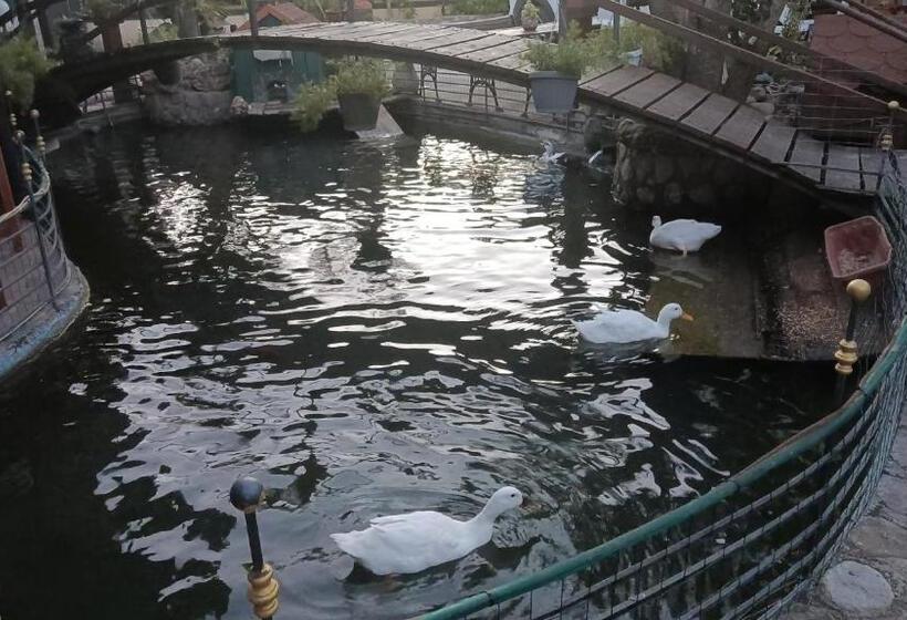 住宿加早餐  Il Laghetto