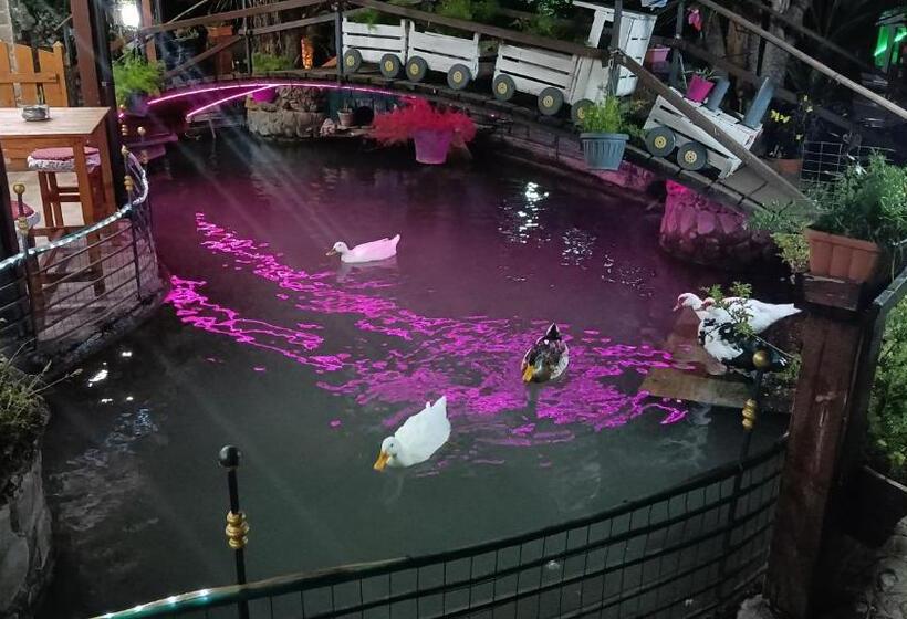 住宿加早餐  Il Laghetto