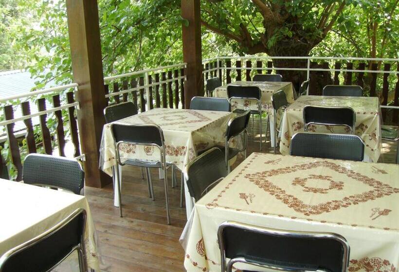 ベッドアンドブレックファースト Il Prato