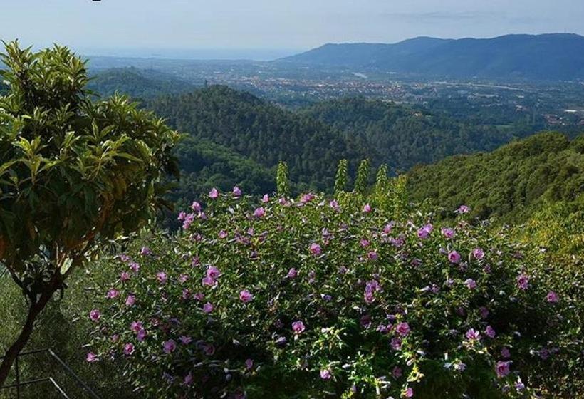 Bed and Breakfast Il Viandante