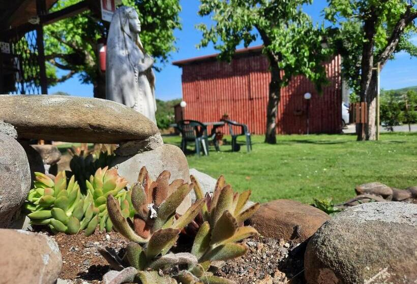 ベッドアンドブレックファースト La Casa Della Nonna