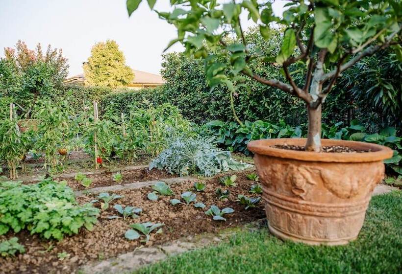 Bed and Breakfast La Dolce Vita