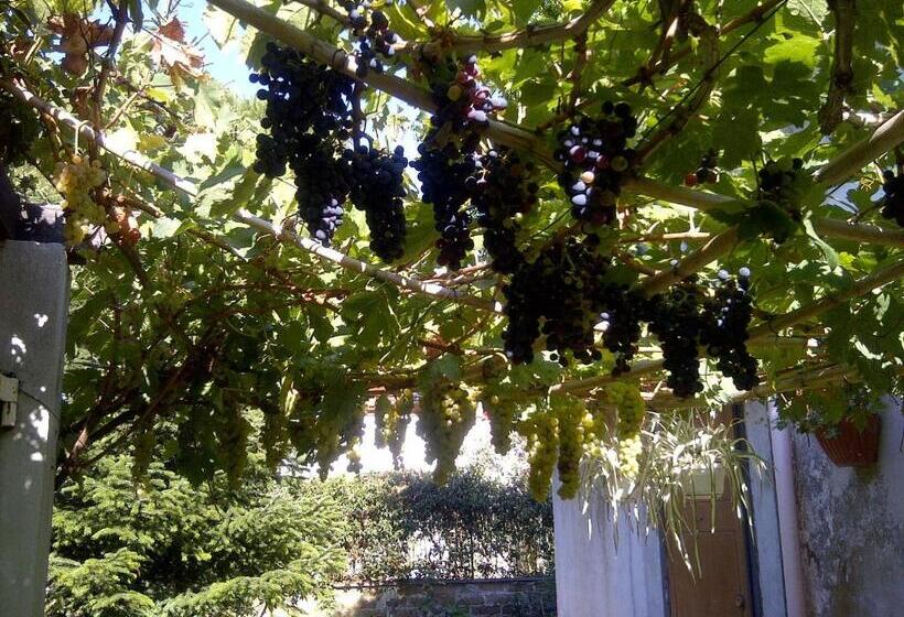 住宿加早餐  La Locandina