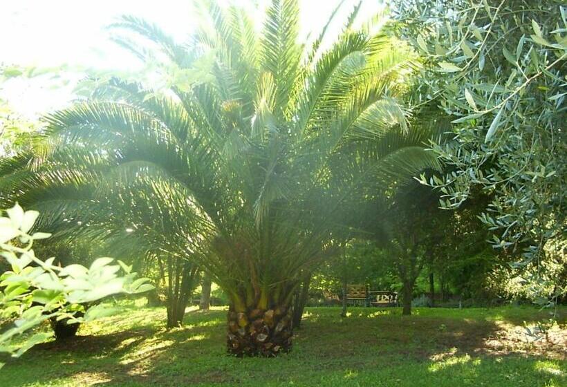 צימר La Vecchia Quercia