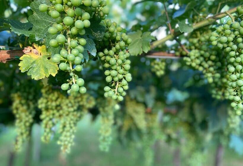 צימר Locanda Arizona