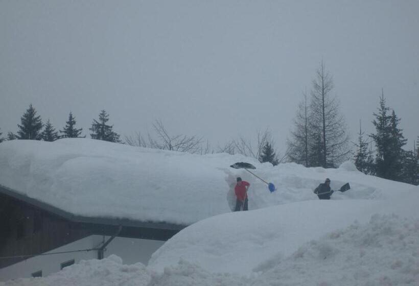 住宿加早餐  Meublè Blue House