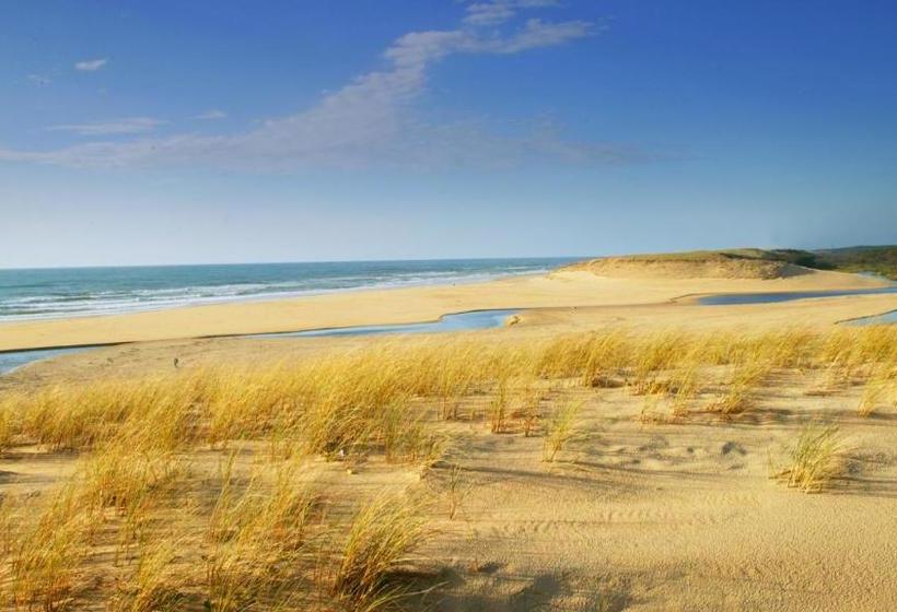 住宿加早餐  Ohana Lodge