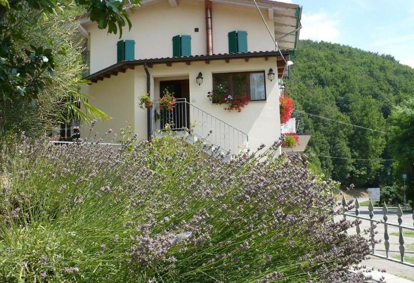 مبيت وإفطار Solo Per Quattro