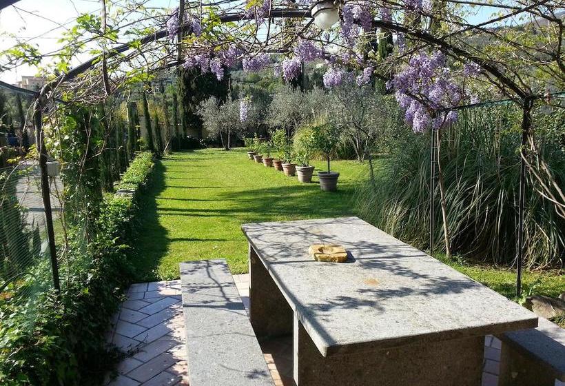 B&b Ulivi Di Castello