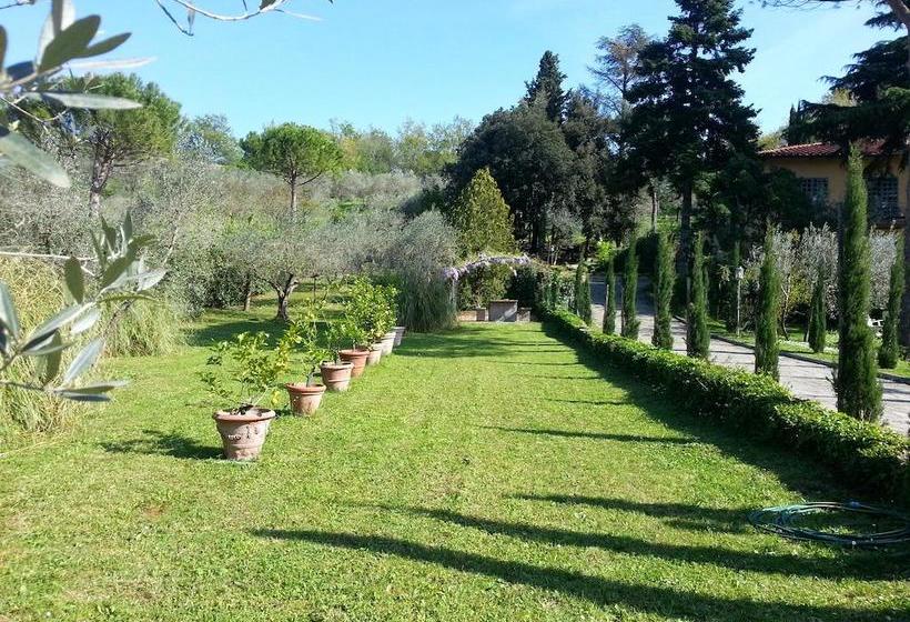 B&b Ulivi Di Castello