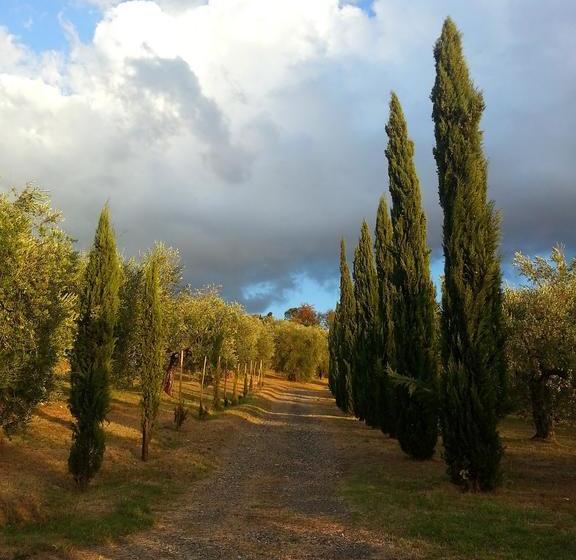 B&b Ulivi Di Castello