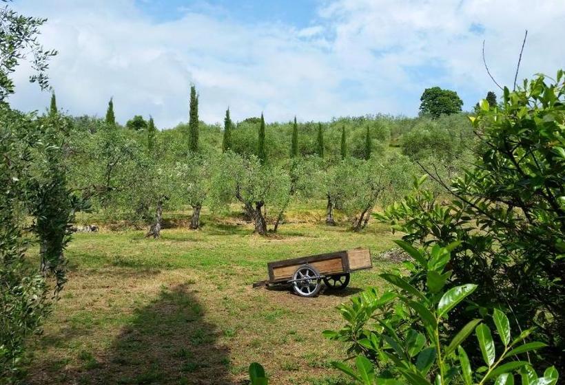 B&b Ulivi Di Castello