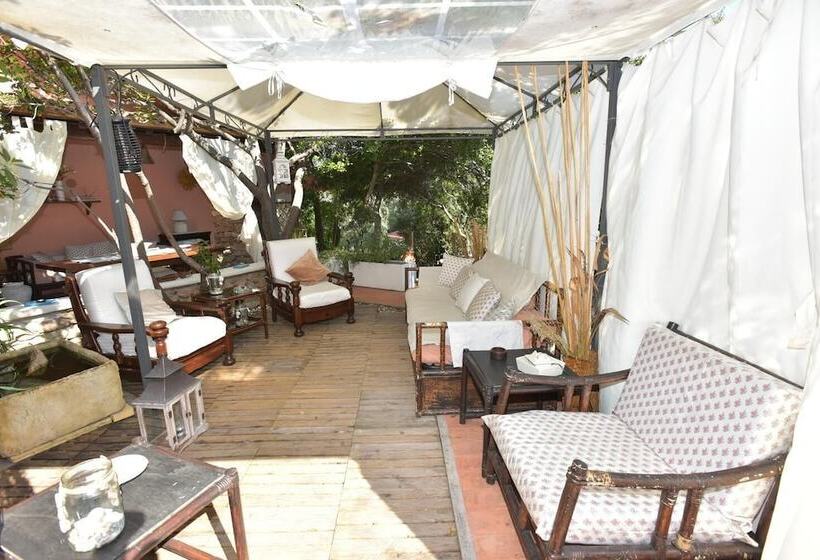 مبيت وإفطار Yin & Yang