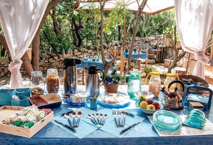 مبيت وإفطار Yin & Yang