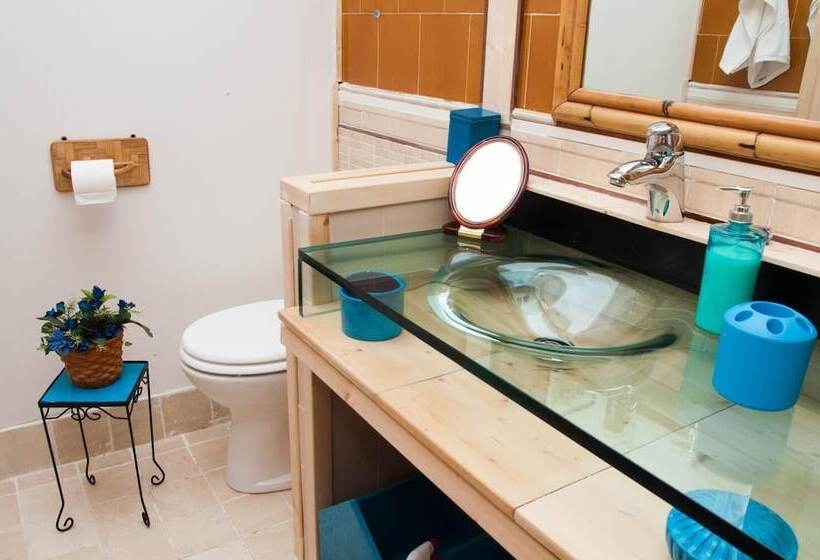 مبيت وإفطار Yin & Yang