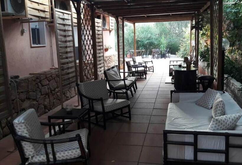 مبيت وإفطار Yin & Yang