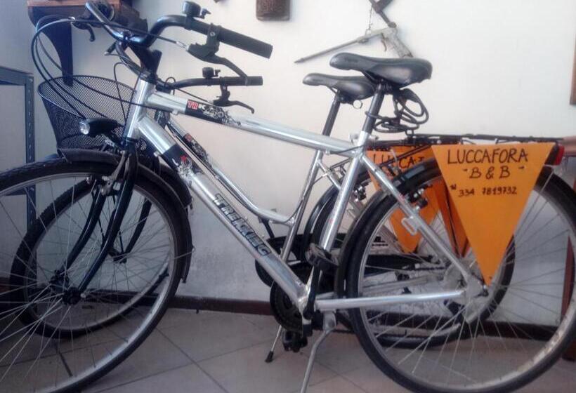 Bed & Breakfast Lucca Fora