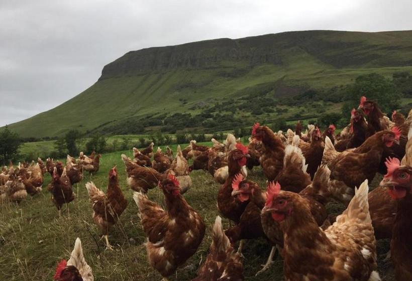 Benbulben Farmhouse B&b