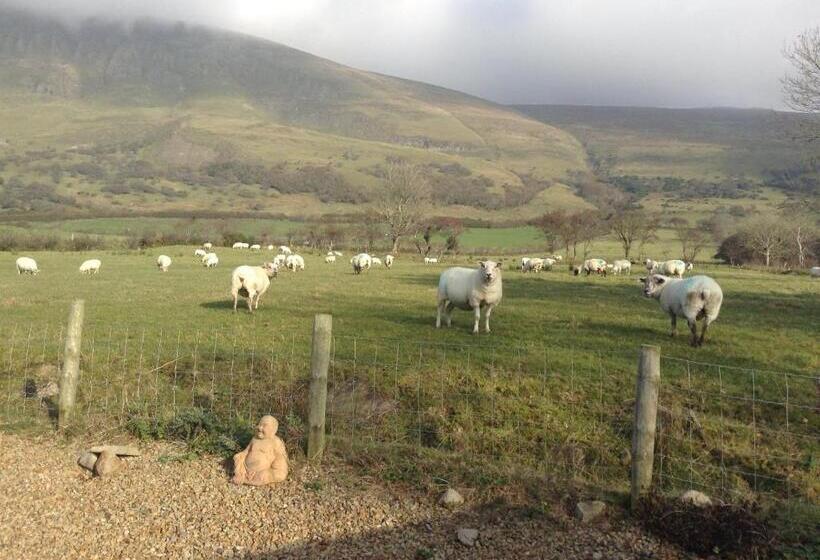 Benbulben Farmhouse B&b