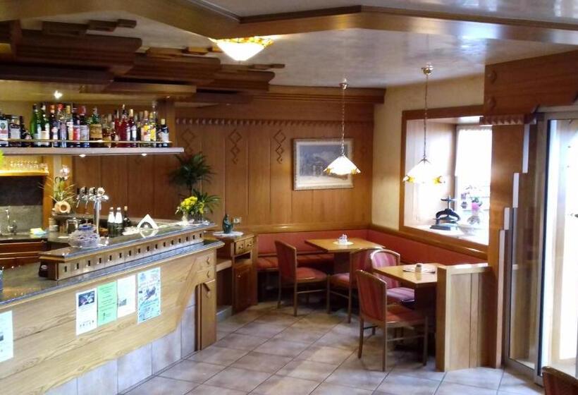 Отель Albergo Alpino